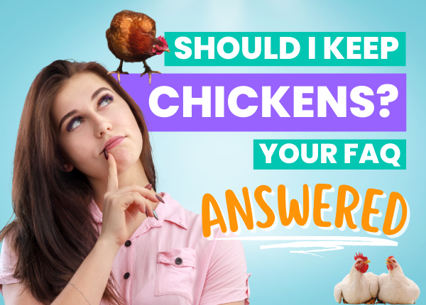 Expert Guide 📙 On How To Keep Chickens + 5 Questions To Ask Yourself First…