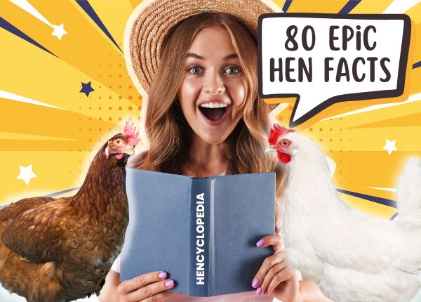 hencyclopedia
