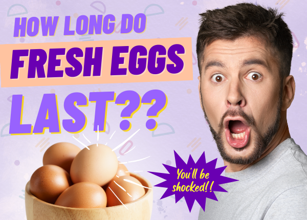How Long Do Fresh Eggs Last? You'll Be SHOCKED! 😳