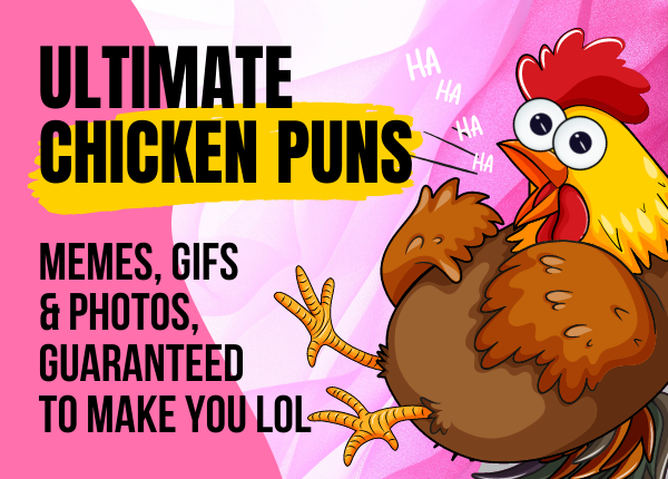 the ultimate chicken puns list