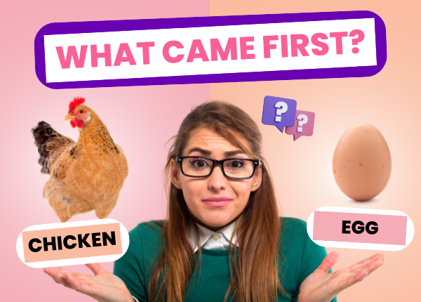 What Came First The Chicken Or The Egg🥚 – Experts Crack Open The Truth -  chickenexperts